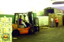 Servicios_1